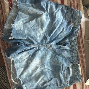 American Eagle Outfitters Blue Jean Shorts